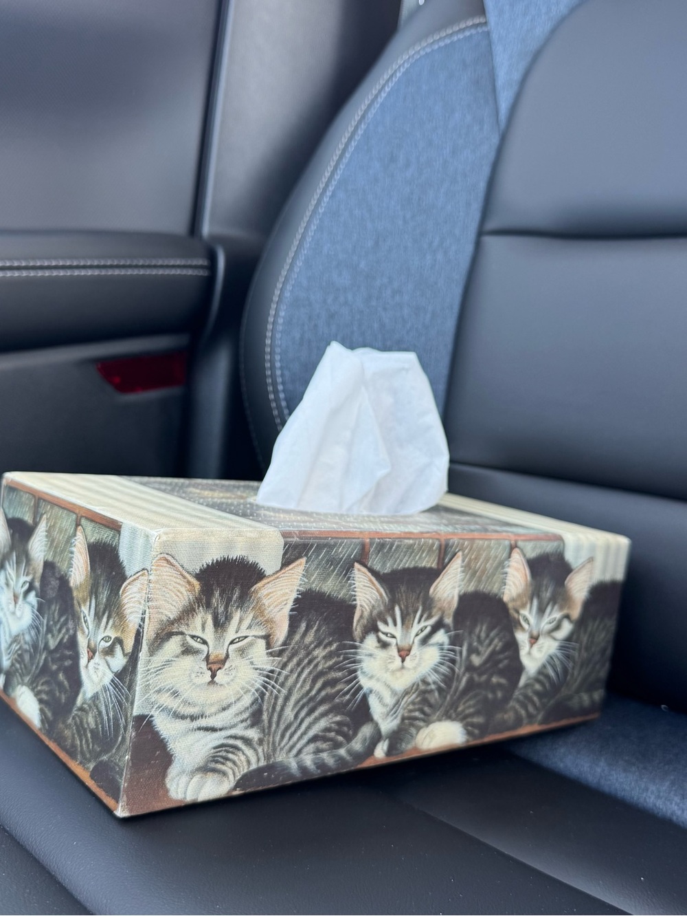 Sleepy Kitty Tissue Box Cover - Neutral Tones